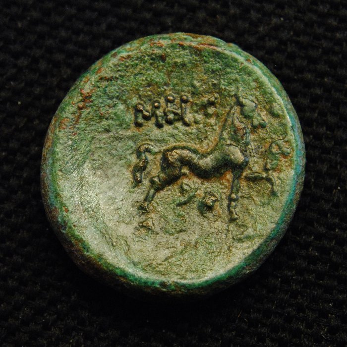 Laureate-Zeus-Horse-Prancing---But-Where-?